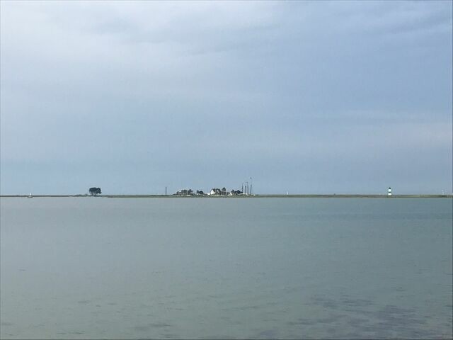 Ferienwohnung in Groß Wittensee - Seepanorama - Bild 19