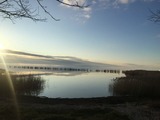 Ferienwohnung in Glowe - Ein Steinwurf zum Ostseestrand: Ferienwohnung Martha mit Terrasse - Bild 23