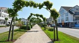 Ferienwohnung in Baabe - Ferienwohnung R&uuml;genzauber - Bild 10