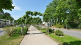 Ferienwohnung in Baabe - Ferienwohnung R&uuml;genzauber - Bild 11