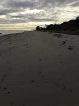 Ferienhaus in Ostermade - Ferienhaus Ostermade - Bild 16