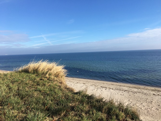 Ferienhaus in Ostermade - Ferienhaus Ostermade - Bild 17