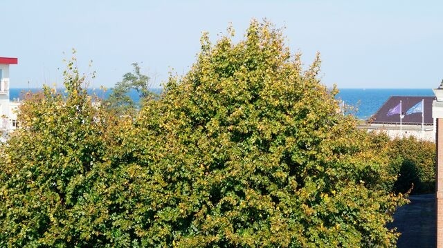 Ferienwohnung in Dahme - 2019 Hygge Nest Whg. 3 - Bild 14