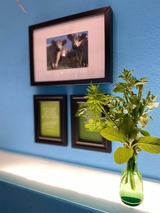 Ferienwohnung in Gelting - Janbecks FAIRhaus - Ferienwohnung Kuhstall - Bild 19