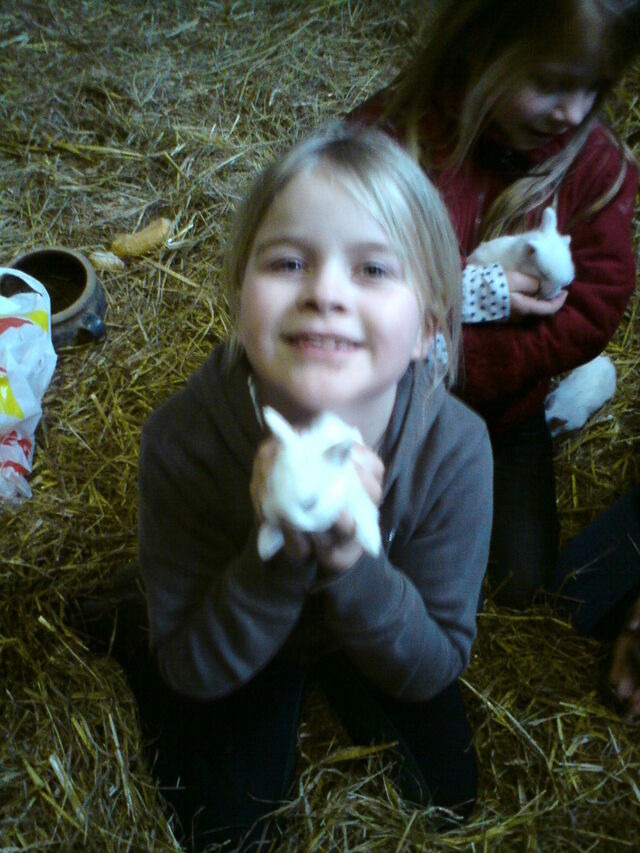 Ferienwohnung in Grömitz - Alter Pferdestall - Bild 13