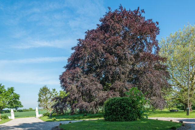 Ferienwohnung in Grömitz - Alter Pferdestall - Bild 15