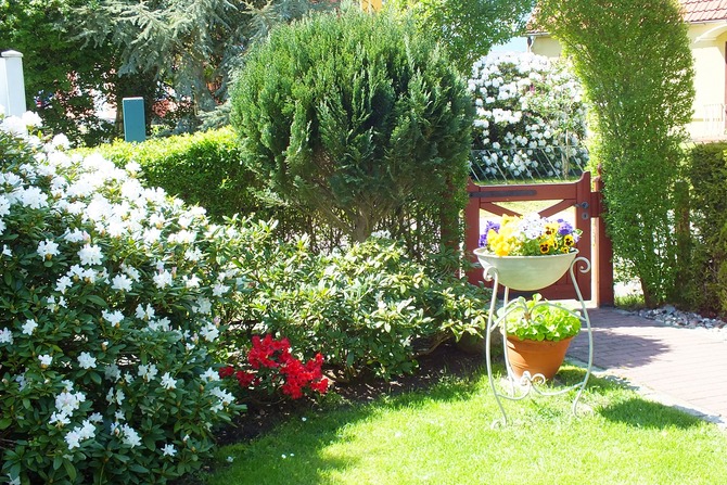 Ferienwohnung in Prerow - Kl&ouml;nhus Prerow - Eingang zum Kl&ouml;nhus Prerew