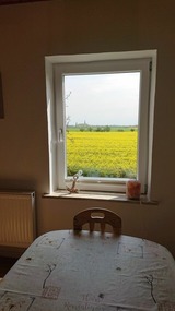 Ferienwohnung in Fehmarn OT Schlagsdorf - Bauernhof Urlaub FeWo Nr. 3 - 5-Personen - Bild 3