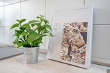 Ferienwohnung in Gr&ouml;mitz - Marina Breeze - Bild 19