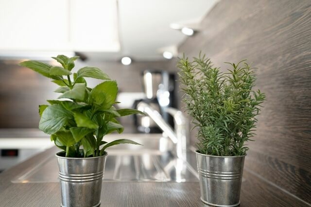 Ferienwohnung in Gr&ouml;mitz - Oldenburger Stra&szlig;e 28 Carpe Diem Gr&ouml;mitz - Bild 24