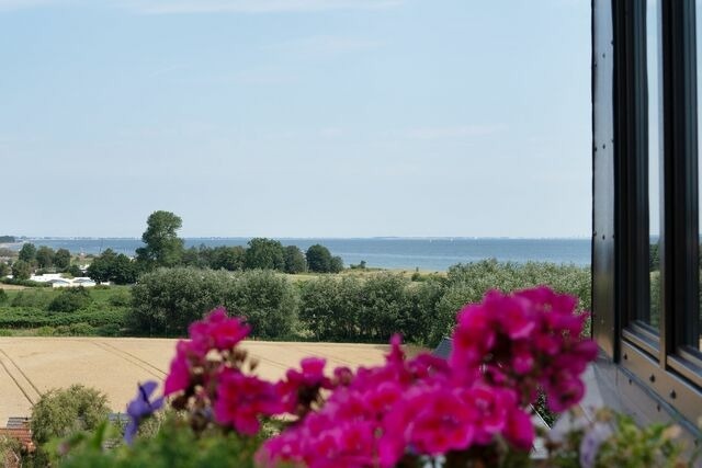 Ferienwohnung in Dahme - Berolina Küstenleben - Bild 3