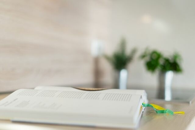 Ferienwohnung in Gr&ouml;mitz - Haus Strandburg Segelboot - Bild 18