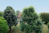 Ferienwohnung in Kellenhusen - Ahornweg 12 Urlaubsgl&uuml;ck - Bild 11