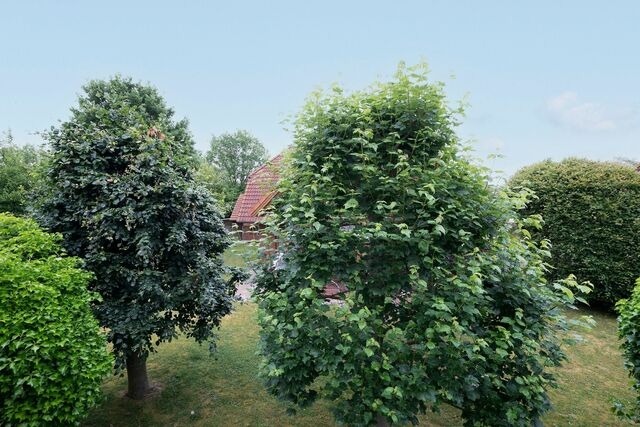 Ferienwohnung in Kellenhusen - Ahornweg 12 Urlaubsgl&uuml;ck - Bild 11