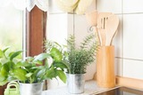Ferienwohnung in Gr&ouml;mitz - M&ouml;we Casa - Bild 19