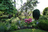 Bungalow in Dahme - Bungalow Mumm - Bild 7