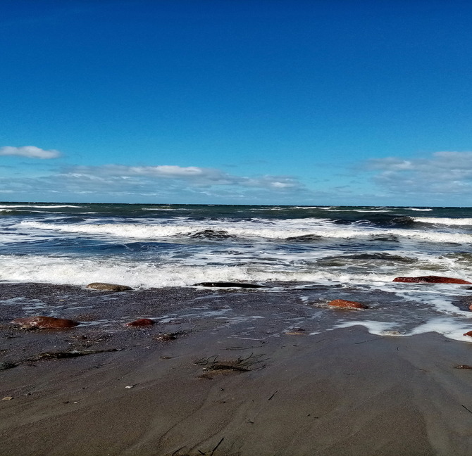 Ferienwohnung in Hagebök - Ferienwohnung Thiedmann - Bild 12