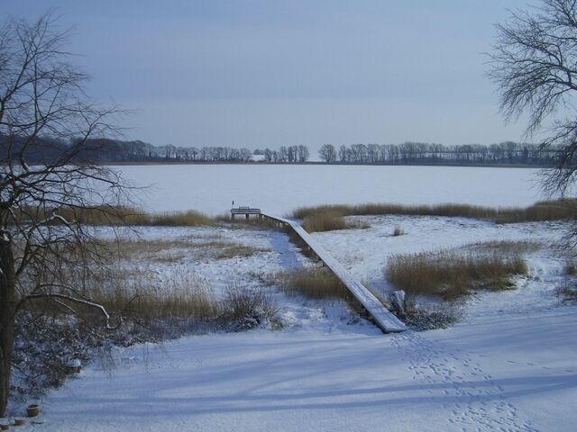 Ferienwohnung in Neuenkirchen (Rügen) - Gutshaus Grubnow Ferienwohnung 3 - Bild 17
