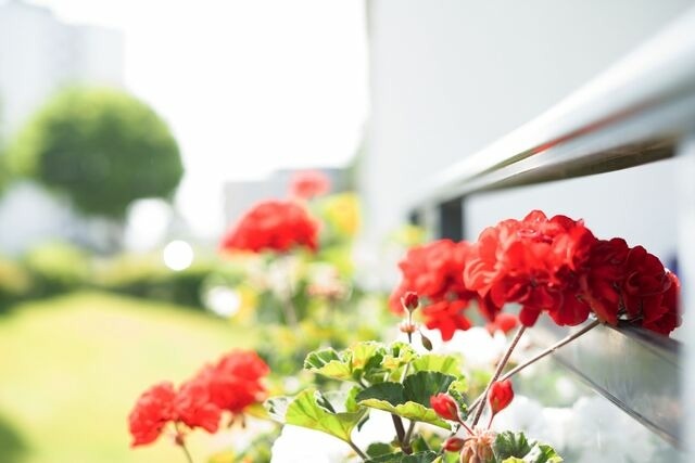 Ferienwohnung in Neustadt-Pelzerhaken - Strandglück 41- Haus Wiesbaden - Bild 14