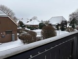 Ferienwohnung in Dahme - Jacobihof - Strandhafer - Bild 4