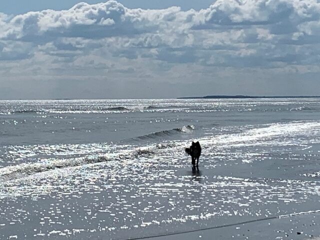 Ferienwohnung in G&ouml;hren - Villa Fernsicht G&ouml;hren Fewo Nr.9 2.OG - Bild 3