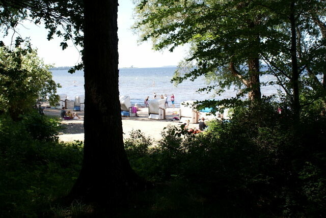 Ferienwohnung in Wismar - Ferienwohnung im K&uuml;nstlerhaus - ABC597 - Bild 22