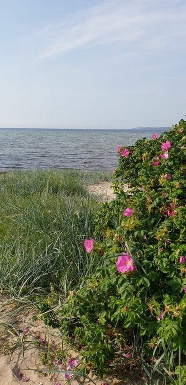 Ferienwohnung in Zierow - Leuchtturm am Strand - ABC56 - Bild 15
