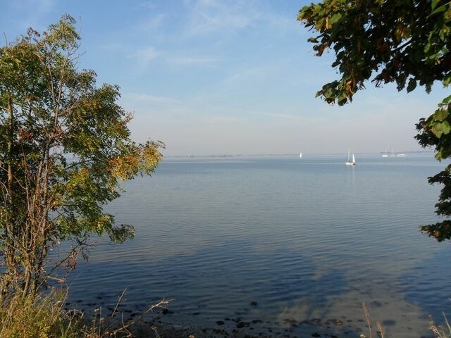 Ferienwohnung in Hohen Wieschendorf - Meeresbrise Ostsee - ABC166 - Bild 19