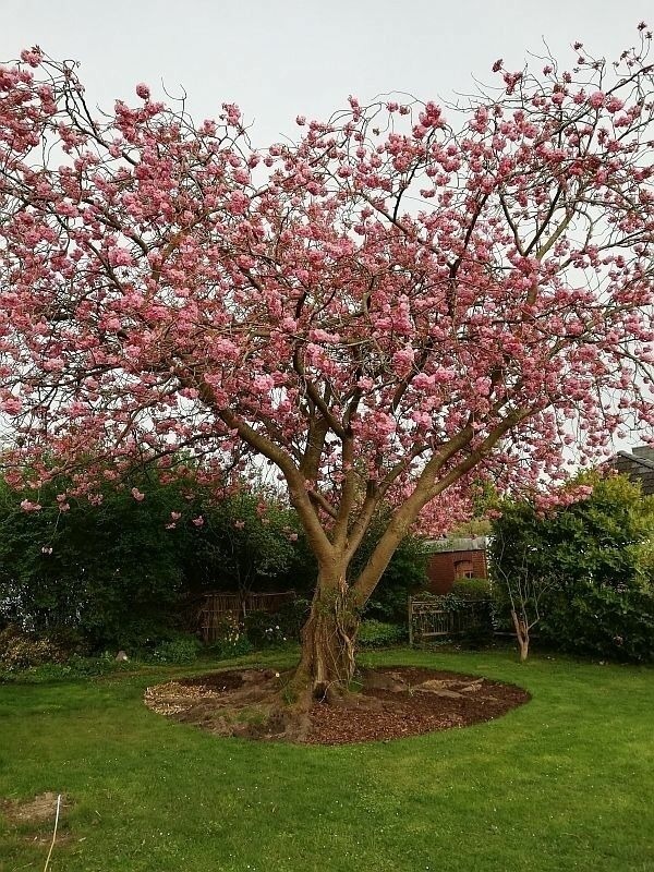 Ferienwohnung in Kappeln OT Ellenberg - Ferienwohnung Kapit&auml;nsblick - Bild 21