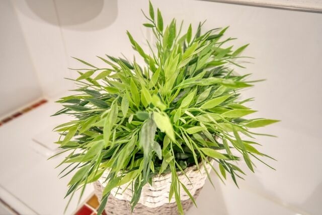 Ferienwohnung in Heiligenhafen - Haus Hanseatic, App. 1SC311 - Bild 14