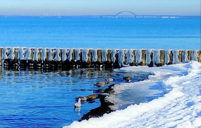 Ferienwohnung in Heiligenhafen - Strandhuus, App. 3SH320 - Bild 16