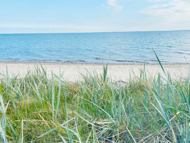 Ferienwohnung in Maasholm - Strandgaard - Bild 18