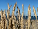 Ferienwohnung in Maasholm - Strandgaard - Bild 20