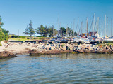 Ferienwohnung in Maasholm - Strandgaard - Bild 23