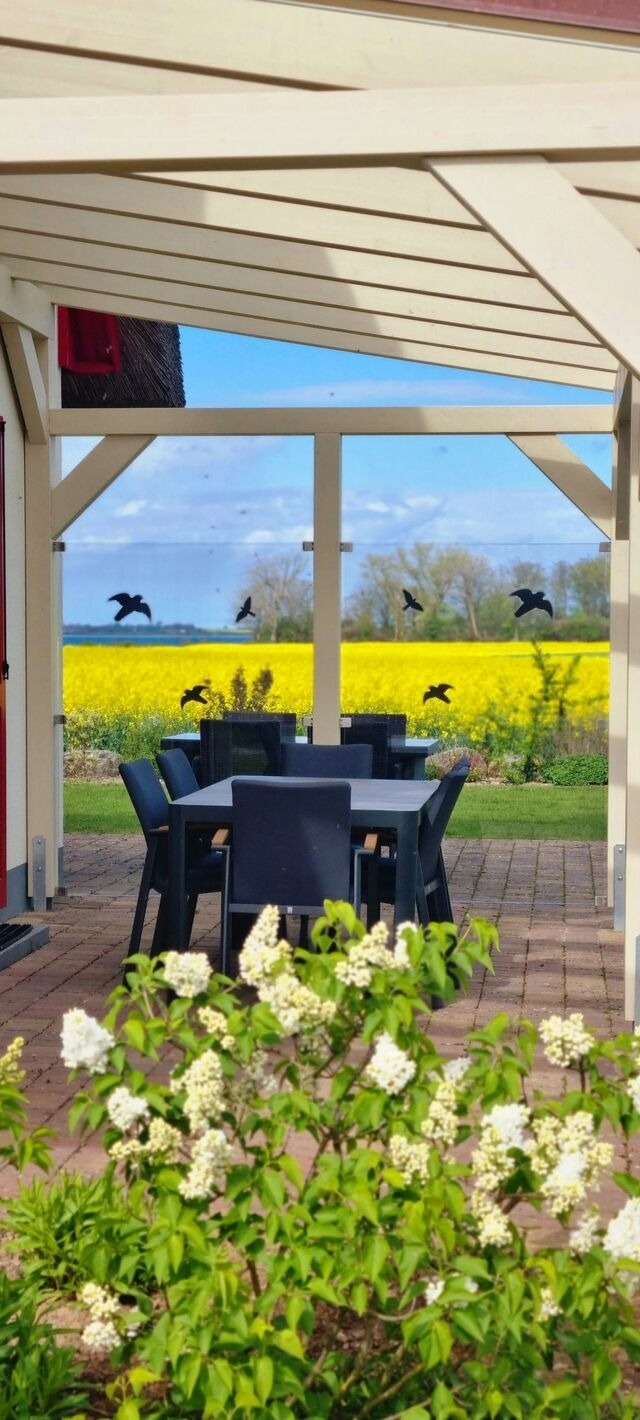 Ferienhaus in Zierow - Reethaus "St&ouml;rtebeker" - Bild 2