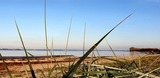 Ferienhaus in Zierow - Reethaus "Alinde" - Bild 18